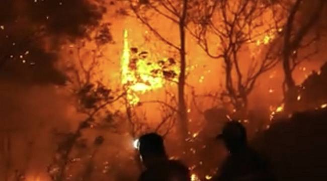 Orman yangını ile karşılaşırsak yapmamız gerekenler - AKUT ...