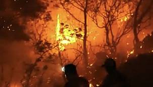 Ormanlar neden yanıyor? - Boğaziçi Üniversitesi İklim Merkezi Başkanı Prof. Dr. Kurnaz...