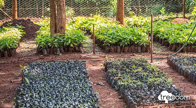 PETRONAS Madeni Yağlar - EMEA Bölgesi’nde sıfır karbon emisyonu hedefini...