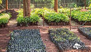 PETRONAS Madeni Yağlar - EMEA Bölgesi’nde sıfır karbon emisyonu hedefini...