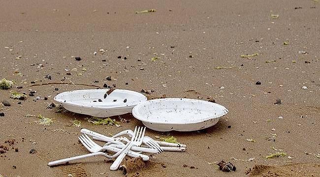 ÇEVRE - Tek kullanımlık plastikler Türkiye&#039;de de yasaklansın! Greenpeace...