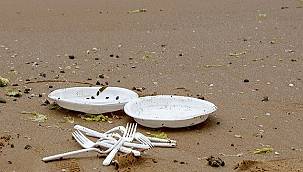 ÇEVRE - Tek kullanımlık plastikler Türkiye'de de yasaklansın! Greenpeace...