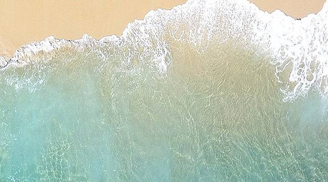 Temmuz Doğa Takvimi - Aksa Doğalgaz!