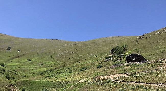 Yaylalar - Trabzon...