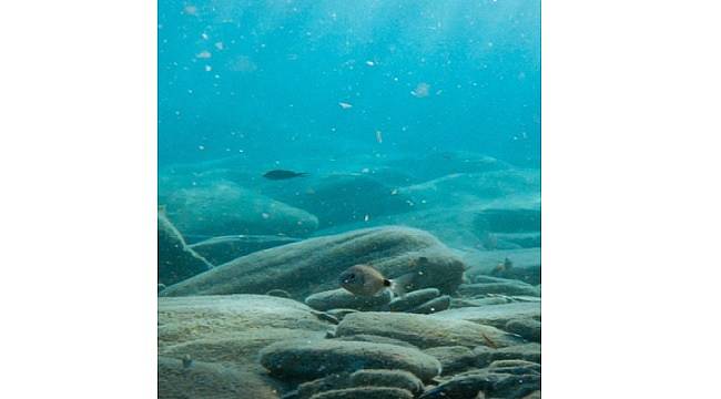 2021 Stockholm Gençler Su Ödülü Yarışması...