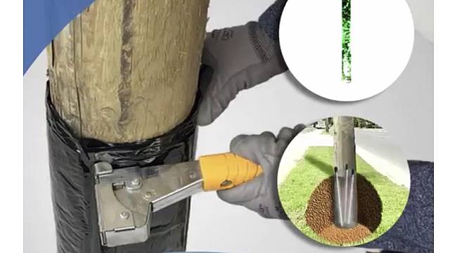 Bor Madeni ile ağaç direklerin çürümesini önleyecek - YEDAŞ...