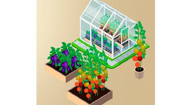 Düşük kalorili kömürlerin içerisinden çıkıyor - Hümik Asit ne demek?