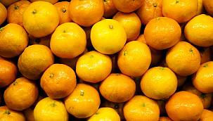 İKLİM - Küresel iklim krizi narenciye rekoltesini...