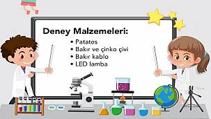 Patatesten pil yapımı - BİLİM!