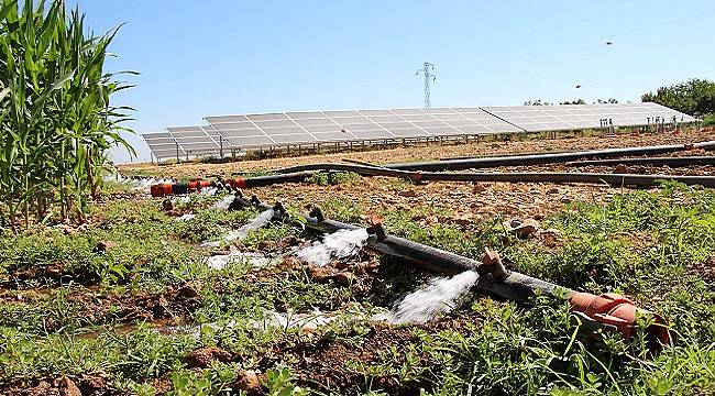 Tarlasına GÜNEŞ enerjisi sistemi kurarak ELEKTRİK faturasından tamamen kurtuldu - ŞANLIURFA!