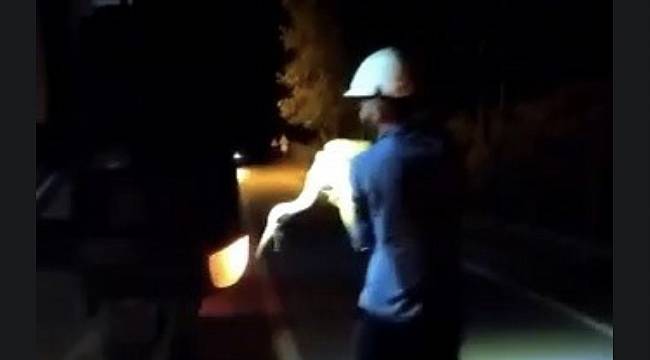 UEDAŞ ekipleri - Ölmek üzere olan...