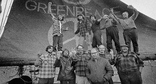 Çevre örgütü Greenpeace'in bu hikayesini biliyor musunuz?