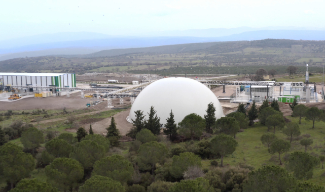 Düşük Karbon Kahramanı Ödülü!