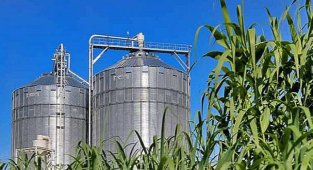 Enerji Ekonomisi -  Türkiye'de elektrik üreten biyokütle santrali var?