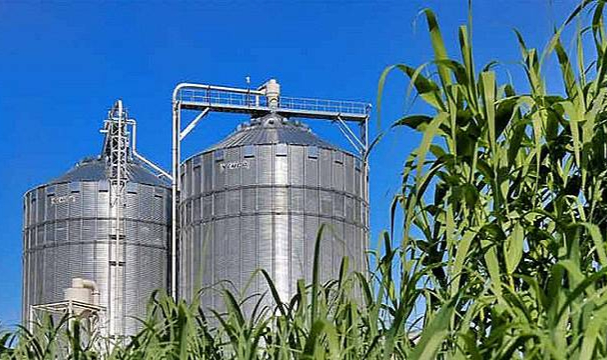 Enerji Ekonomisi -  Türkiye&#039;de elektrik üreten biyokütle santrali var?