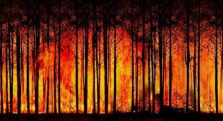 İklim Değişikliği ve Sürdürülebilir Kalkınma için - Toplam 200 milyar Euro finansman...