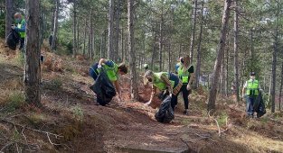 Osman Gazi Elektrik Dağıtım - Çalışanlar ORMAN temizliği yaptı!