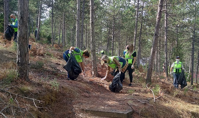 Osman Gazi Elektrik Dağıtım - Çalışanlar ORMAN temizliği yaptı!