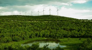 Polat Holding ve Maxis - Yenilenebilir Enerjide Büyük Ortaklık!