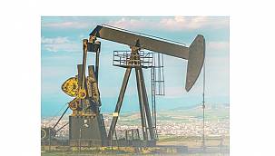 Türkiye'nin ham petrol üretimi!