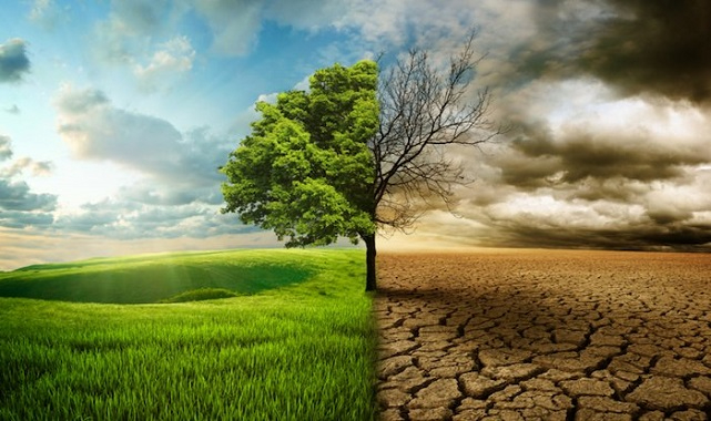 Yeşil Mutabakat Fırsata Çevrilmeli - Ege...