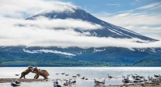 BBC - İklim Değişikliğiyle ilgili 7 Ayrı Belgesel...
