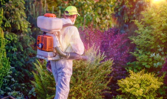 Buğday Derneği - Zehirsiz Kentler...