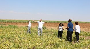 Çörek otu ekti ve ELEKTRİK gideri yüzde 70 azaldı!