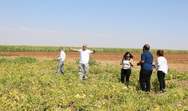 Çörek otu ekti ve ELEKTRİK gideri yüzde 70 azaldı!