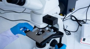 Energy news from Turkey - TANAP...