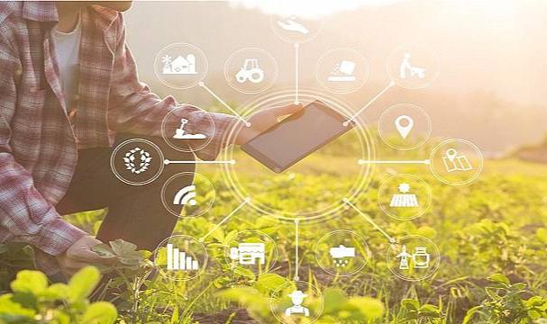 ENERJİ şirketleri de var - &#039;Sürdürülebilir İş Ödülleri 2021&#039;   Finale Kalan Projeler Açıklandı!   