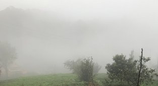 Enerjide hedef 'Net Sıfır'