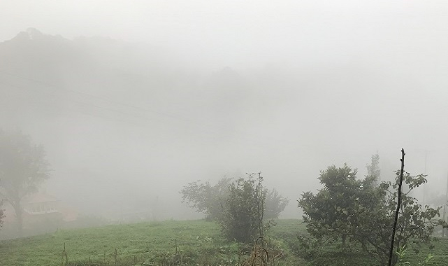 Enerjide hedef &#039;Net Sıfır&#039;