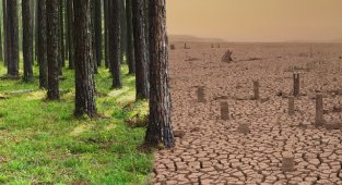 'Küresel İklim Değişikliği Fotoğraf Yarışması' - Kazananlar belli oldu!