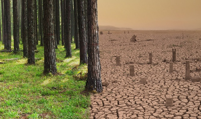 &#039;Küresel İklim Değişikliği Fotoğraf Yarışması&#039; - Kazananlar belli oldu!