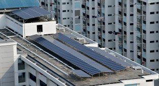 Paris İklim Anlaşması - Gerekleri nasıl yerine getirilecek?