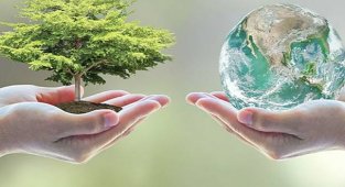 Sıfır Atık Yönetmeliği değişti!