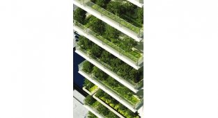 TSKB Çalışması: Türkiye - Yeşil Bina Sayısında Avrupa’da İlk Sırada