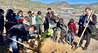 Akkuyu Nükleer A.Ş. temsilcileri, Milli Ağaçlandırma Günü kapsamında ağaç dikti
