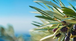 Aksa Doğalgaz - Kutlu Olsun