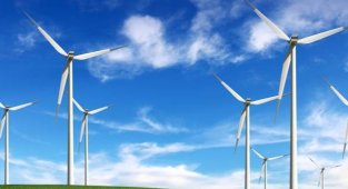 Anadolu Hayat Emeklilik, 2021 yılında da Karbon Ayak İzini sıfırladı