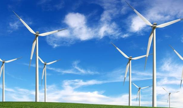 Anadolu Hayat Emeklilik, 2021 yılında da Karbon Ayak İzini sıfırladı