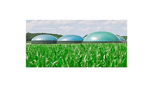 EPDK &#039;Biodizel taslağını&#039; yayınlandı - Görüşler...