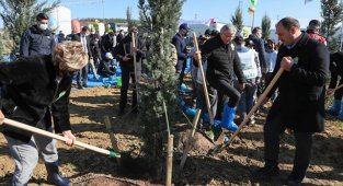 Kuzey Marmara Otoyolu’ndan Geleceğe Nefes için 7 bin fidan