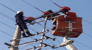 Osmangazi Elektrik Dağıtım - Göçmen kuşlar için...