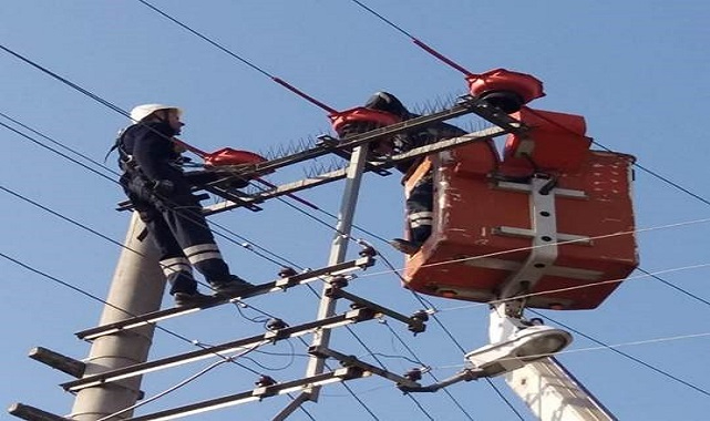 Osmangazi Elektrik Dağıtım - Göçmen kuşlar için...