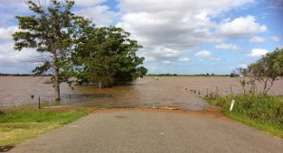 Rus Nükleer Kurumu ROSATOM - Paris İklim Anlaşması'nı Onaylayan Türkiye'ye Dayanışma Mesajı...