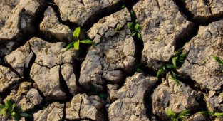 TEMA Vakfı - Erozyona karşı toprağı koruyan uygulamaları...