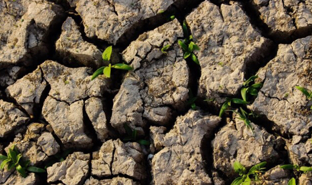 TEMA Vakfı - Erozyona karşı toprağı koruyan uygulamaları...