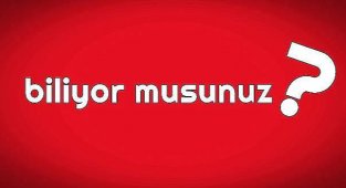 Türkiye'de elektrik üreten kaç Fuel oil santrali var?